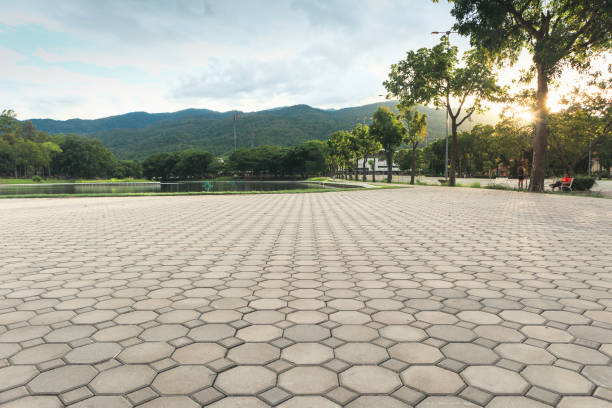 Best Custom Driveway Pavers  in Forest Hills, PA